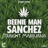 reggae 420 beenie man sanchez straight marijuana john john jamaica