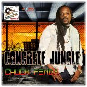 reggae-chuck-fender-concrete-jungle-jamaica