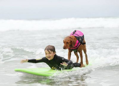 Ricochet surf therapy dog
