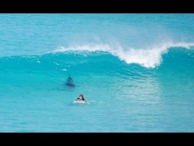 Boy comes within inches of great white shark during surf at Aussie beach
