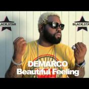 Demarco - 'Beautiful Feeling'